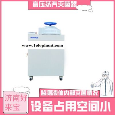 BKQ-B50II全自动高压蒸汽灭菌锅  医疗食品制药消毒灭菌蒸汽内循环 高压蒸汽灭菌器图5