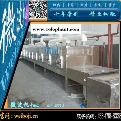 红枣灭菌设备 脆枣灭菌设备 微波灭菌设备图3