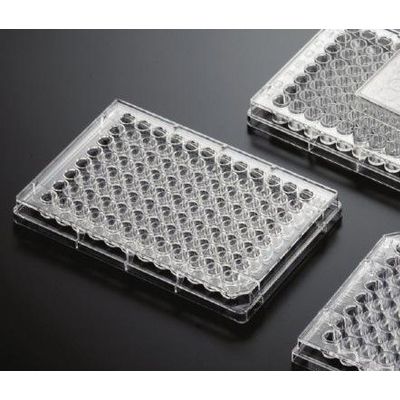 细胞 细菌 菌体培养板酶标板灭菌包装 多规格可选图2