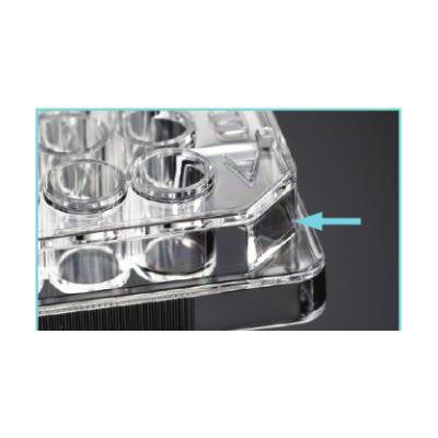 细胞 细菌 菌体培养板酶标板灭菌包装 多规格可选图3