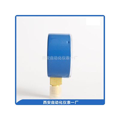 秦仪氧气压力表YO-60图2