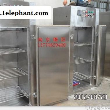 南京腾阳牌 玻璃瓶烘干臭氧灭菌烤箱