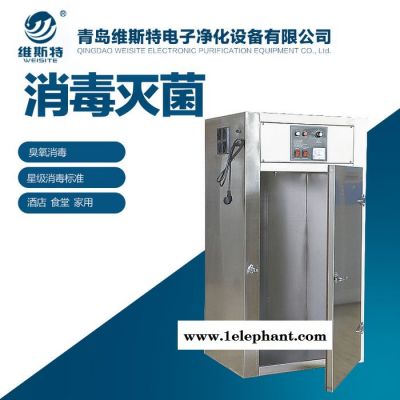 维斯特 器材消毒臭氧灭菌柜   药材消毒臭氧灭菌柜图3