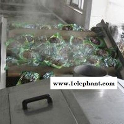 巴氏灭菌机 连续式漂烫杀菌设备 顺泽品牌值得信赖图2
