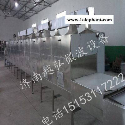 木耳微波干燥灭菌设备图2