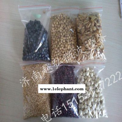 木耳微波干燥灭菌设备图6