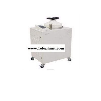 立式灭菌器 LMQ.C-80E图4