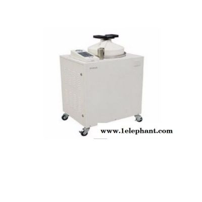 立式灭菌器 LMQ.C-80E图5