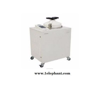 立式灭菌器 LMQ.C-80E图2