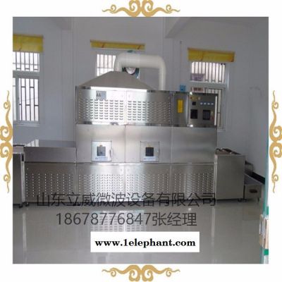 济南立威微波蔬菜脱水灭菌设备图3