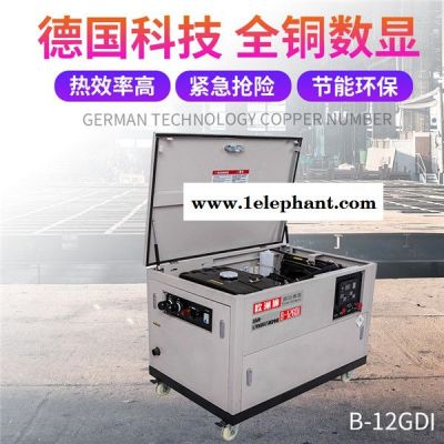 应急救援15KW车载静音汽油发电机图1