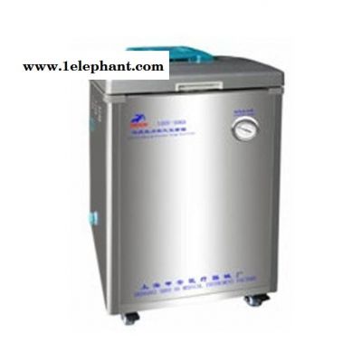 供应 上海 申安 立式蒸汽灭菌器 50L蒸汽灭菌器 蒸汽灭菌锅 实验室蒸汽灭菌器 自动排汽 型号LDZF-50KB-II图2