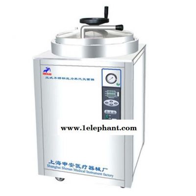供应 上海 申安 立式灭菌器 灭菌锅 实验室灭菌器 小型灭菌器 150L灭菌锅 型号LDZH-150KBS图3