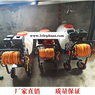 科博 多喷头果树打药机 高压杀虫灭菌喷雾器图4