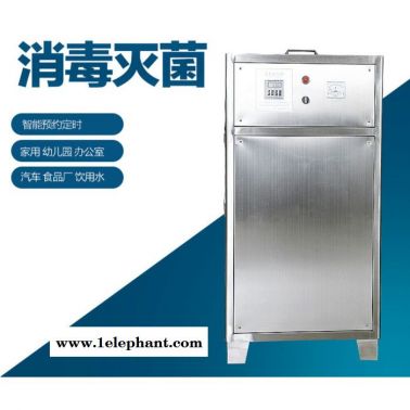 维斯特sw-015 氧气源臭氧发生器处理污水