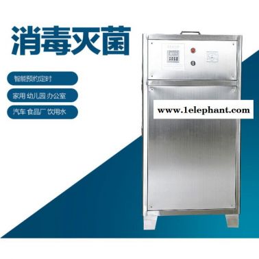 维斯特sw-015 高浓度臭氧机价格   氧气源臭氧机厂家