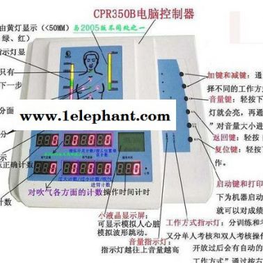 心肺复苏训练模拟人 急救人体模型 急救训练模型 心肺复苏假人