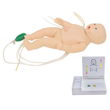 新生儿综合急救训练模拟人