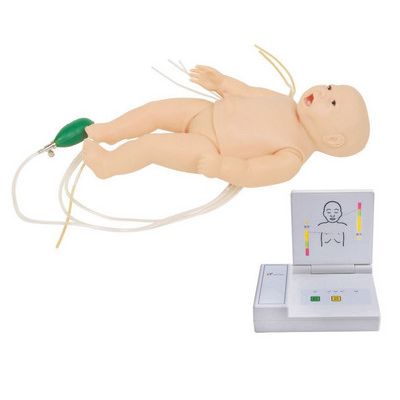 婴儿综合急救训练模拟人