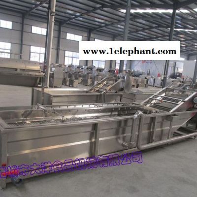 大洋牌连续式洗菜机，臭氧气泡清洗机