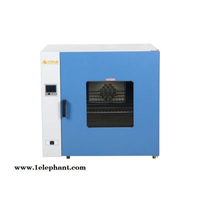 干烤灭菌器(热空气消毒箱）DRX-25 上海厂家现货直销 可定做定制各种真空烘箱真空干燥箱
