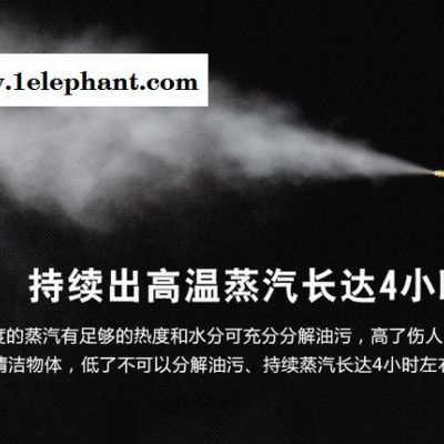 新迪CMD-A2小型家用蒸汽清洗机 灭菌消毒清洗机 环保节水清洗机图2