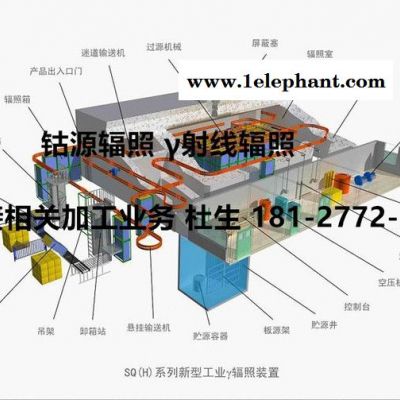 水产品辐照灭菌 微生物辐照灭菌 冰鲜食品辐照灭菌 杀灭细菌