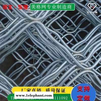 【河北东驰】供应美格网防盗窗-镀锌美格网防盗窗-铝美格网防盗窗厂家图3