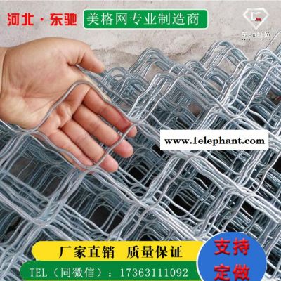 【河北东驰】供应美格网防盗窗-镀锌美格网防盗窗-铝美格网防盗窗厂家图2