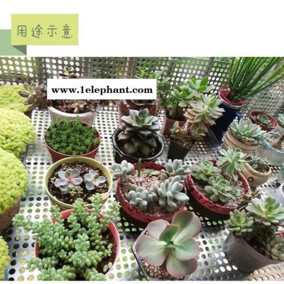 明聪 不锈钢冲孔网/板 阳台防护网 肉肉花盆透气花架垫板 防盗窗垫图3