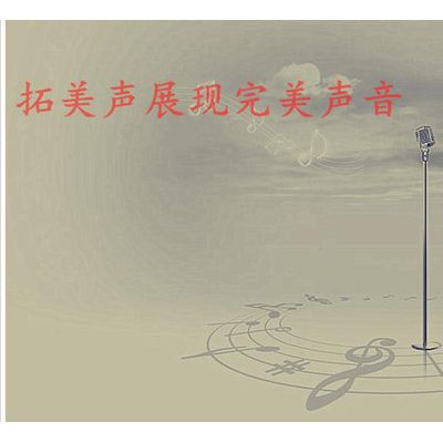 11mm真铜环32欧姆白磁耳机喇叭,耳塞式耳机喇叭,高品质小喇叭图2