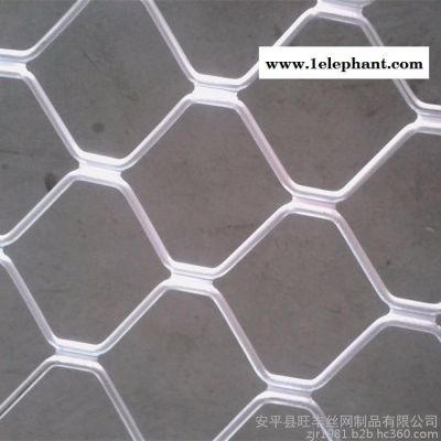 旺丰美格网 美格网护栏网 美格网防盗窗 防盗网 监狱美格刺片防爬网图2