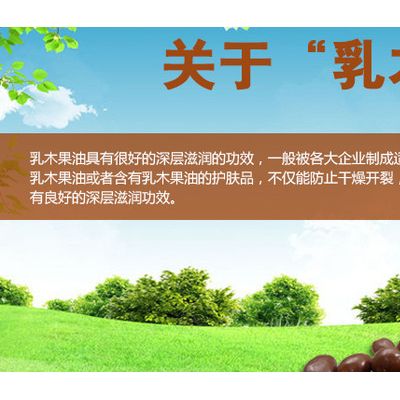 荣菲乳木果清爽细腻身体磨砂膏500mloem一件代发图5