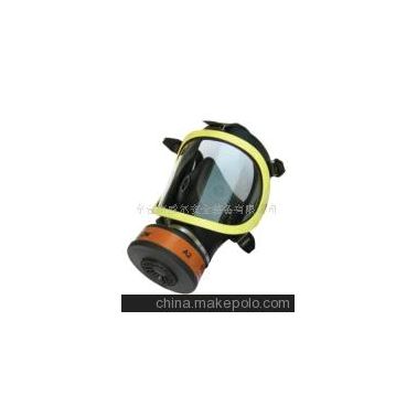 供应 江苏省消防呼吸器全面罩 防护面罩面具