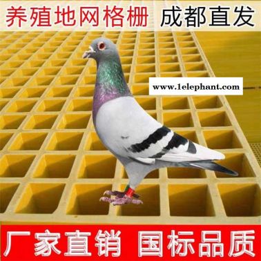 进口玻璃钢格栅 金禾 25mm 抗静电玻璃钢格栅 养殖玻璃钢格栅厂家直供