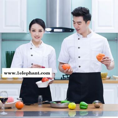 厨师工作服短袖 夏季酒店餐厅 饭店厨师服 短袖透气薄款厨房工衣男女