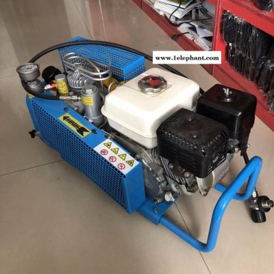 消防呼吸用气5立方的空气泵原装进口空气填充泵直销意大利科尔奇MCH6/ET图3
