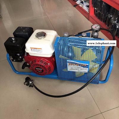 消防呼吸用气5立方的空气泵原装进口空气填充泵直销意大利科尔奇MCH6/ET图2