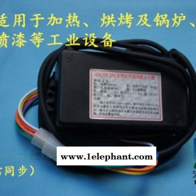 103瓦斯点火器 肇庆宏昇103系列瓦斯点火器图1
