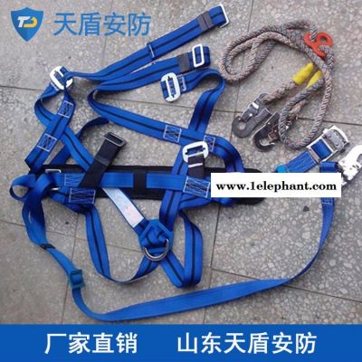 电工安全带设计原理 天盾电工安全带价格 救援设备厂家图2