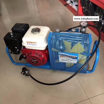 意大利科尔奇MCH6/ET空气充气泵5立方的空气泵 原装进口空气填充泵江西图2