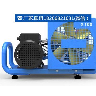 隆泰BX100呼吸器充气泵图5