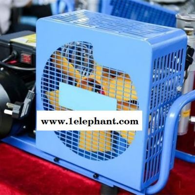 隆泰BX100呼吸器充气泵图2
