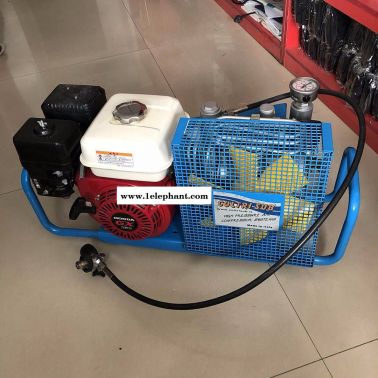 科尔奇空压机小型高压空气压缩机MCH-6呼吸器充气泵科尔奇充气泵