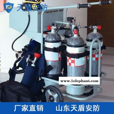 移动供气源现货供应  天盾移动供气源大厂家 安防设备推荐