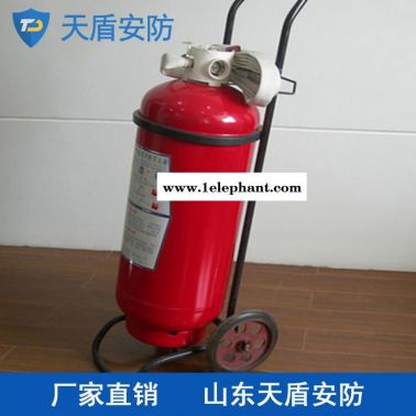推车式干粉灭火器批发商 天盾推车式干粉灭火器 消防器材