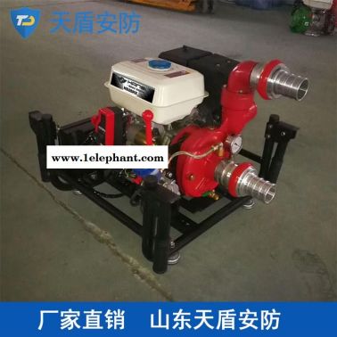 厂家直销移动式消防水泵 天盾移动式消防水泵 大量供应