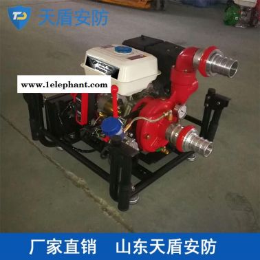 消防泵厂家直销 天盾移动消防泵 消防产品现货