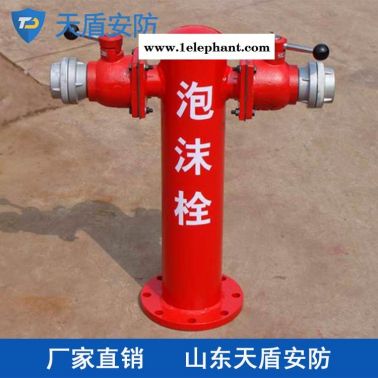 泡沫消防栓批发 天盾地上式泡沫消防栓性能 厂家直供