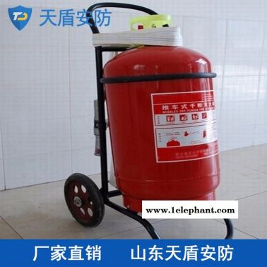 推车式干粉灭火器现货销售 天盾推车式干粉灭火器